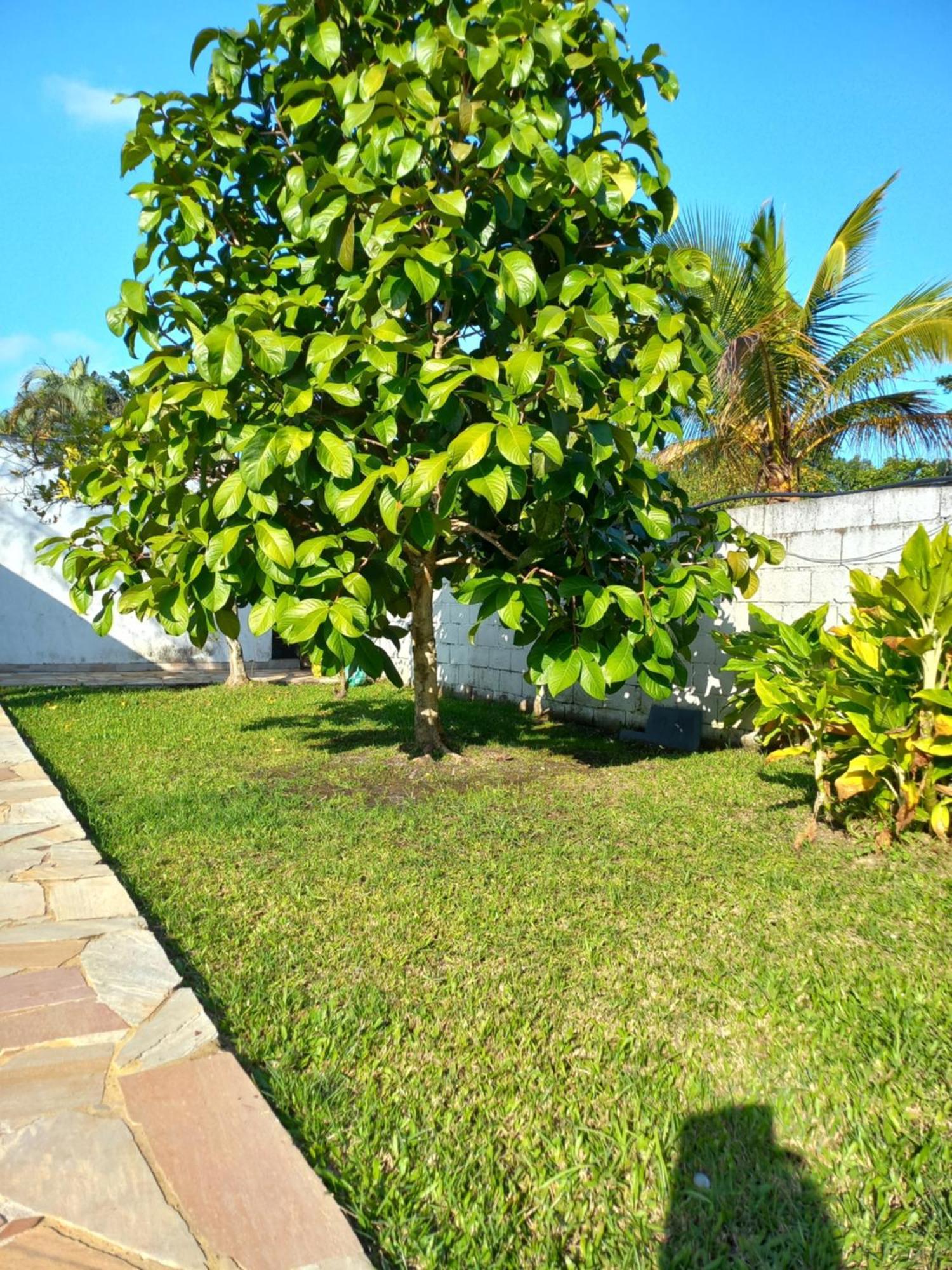 Chacara Sitio Casa Peruibe Praia Εξωτερικό φωτογραφία